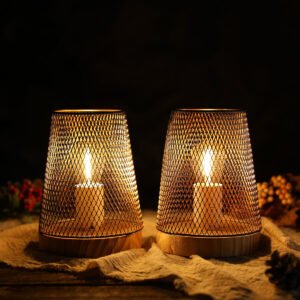 Set of 2 Medium Metal Mesh Outdoor lantern, Battery Powered Decorative Lamp